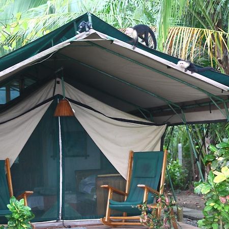 Rafiki Beach Camp Matapalo  Exteriör bild