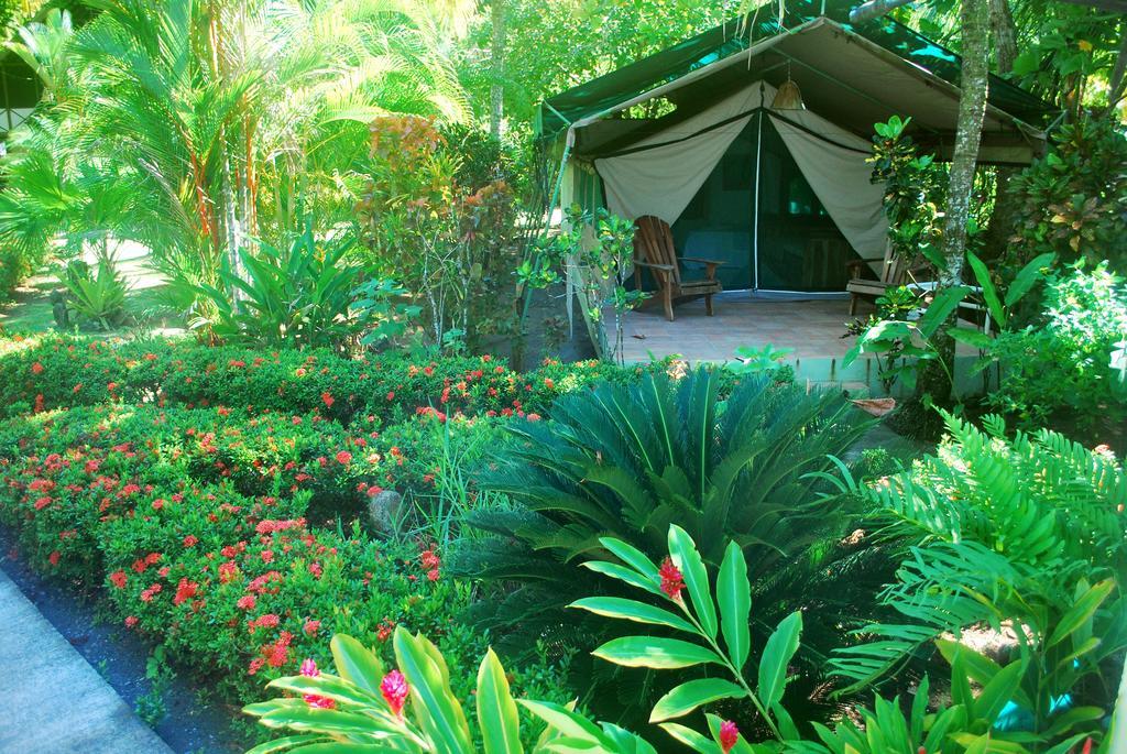 Rafiki Beach Camp Matapalo  Rum bild